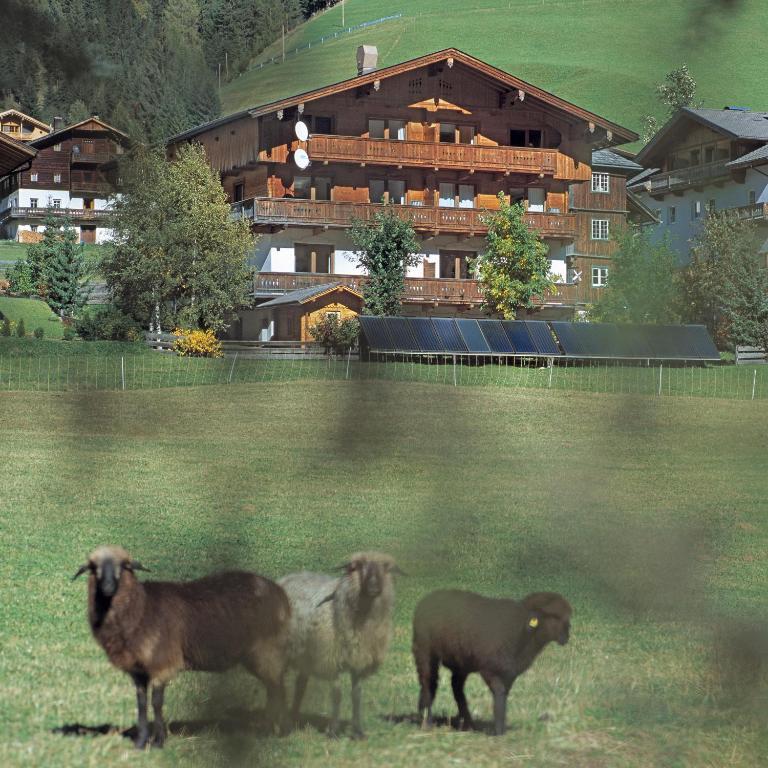 Ferienpension Senfter Инерфилгратен Екстериор снимка